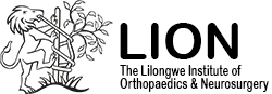 Logo LION